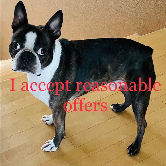 Meet your Posher, Hamidah - Picture 1 of 1